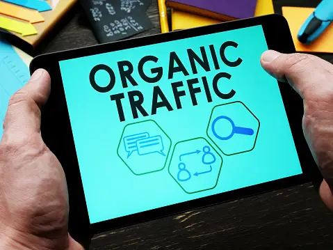 How to gain Organic traffic